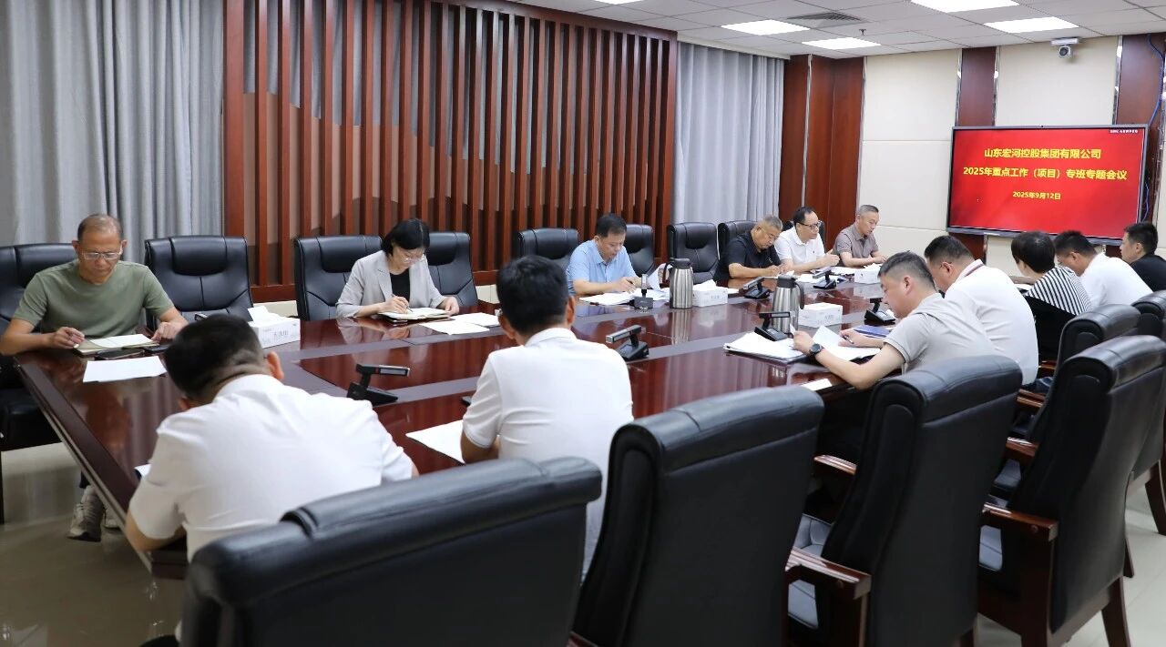 凝心聚力抓落實 精準發(fā)力促發(fā)展——宏河集團召開重點工作（項目）推進會議